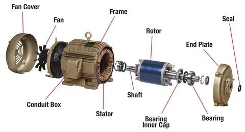 Single Phase Motor Repair Services in Dubai